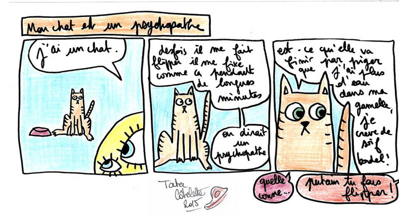 mon chat est un psychopathe