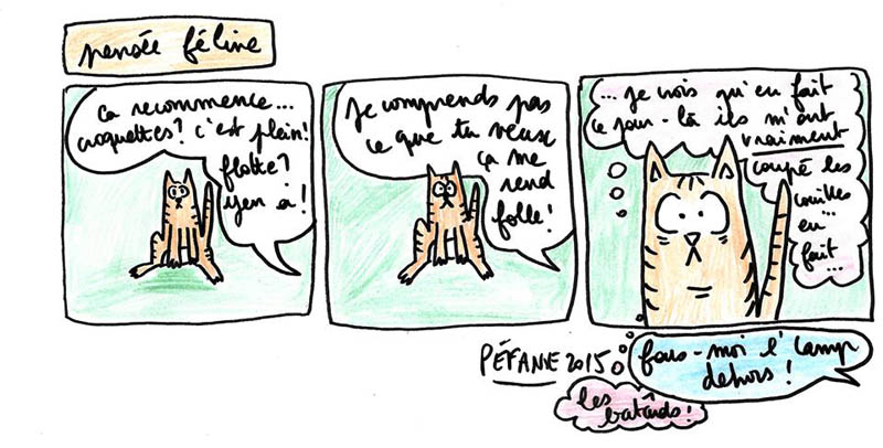 pensée féline