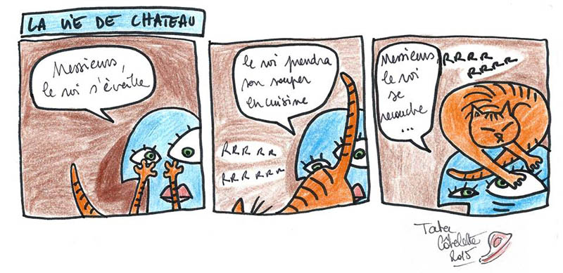 le château de mon chat